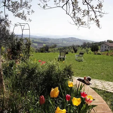 Bed & Breakfast Di Montenero