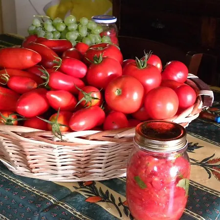 Bed & Breakfast Di Montenero Amelia